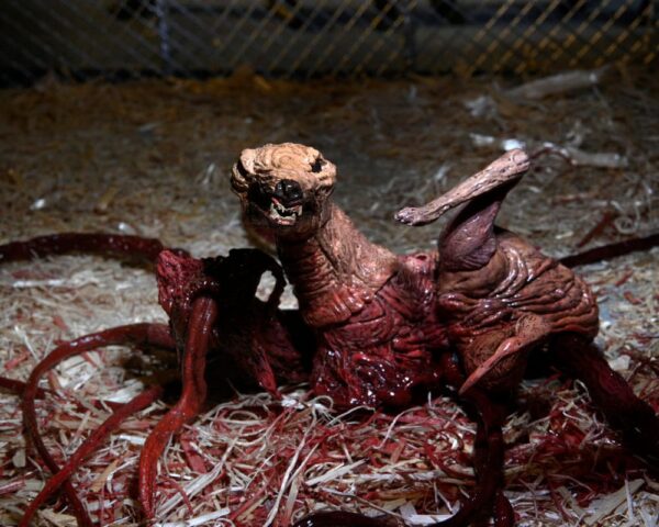 x_neca04905_j The Thing Actionfigur Thing Dog Creature Ultimate Deluxe 18 cm