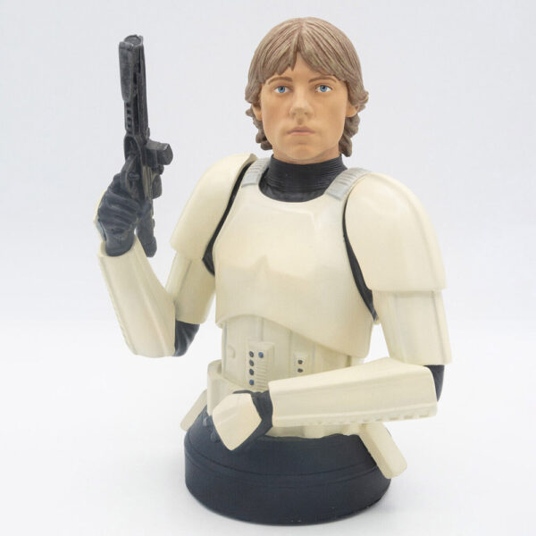 s-l1600-34 Gentle Giant Star Wars Büste Luke Skywalker in Stormtrooper Disguise Limited