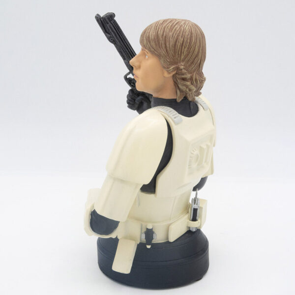 s-l1600-35 Gentle Giant Star Wars Büste Luke Skywalker in Stormtrooper Disguise Limited
