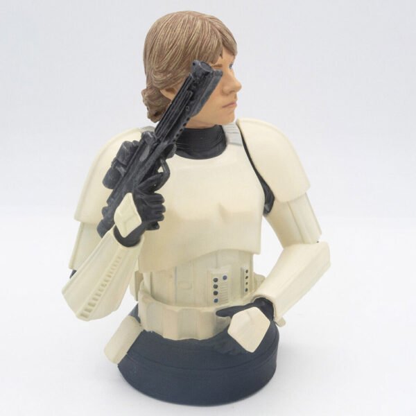 s-l1600-38 Gentle Giant Star Wars Büste Luke Skywalker in Stormtrooper Disguise Limited